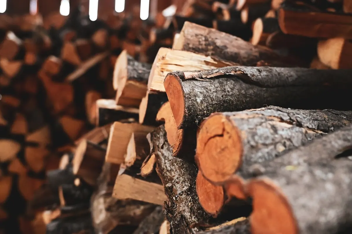 How to Light a Wood-Burning Stove and Keep It Going Overnight
